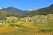 Schweiz, Kanton Waadt, Yvorne, kleines Städtchen inmitten von Weinbergen