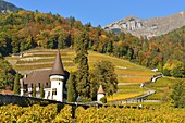 Schweiz, Kanton Waadt, Yvorne, kleines Städtchen inmitten von Weinbergen