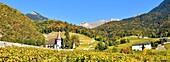 Switzerland, Canton of Vaud, Yvorne, small town surrounded by vineyards