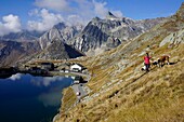 Switzerland, Valais Canton, Col du Grand Saint Bernard pass, the lake