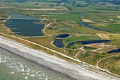 France, Somme, Baie de Somme, Hâble d'Ault bird sanctuary (aerial view)