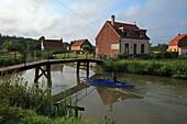 France, Pas de Calais, Saint Omer, Kayaker who walks in the marsh audomarois