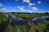 Frankreich, Pas de Calais, Saint Omer, das Marschland von Audomarois, seit 2013 von der UNESCO zum Biosphärenreservat erklärt, Bacôve-Ritt