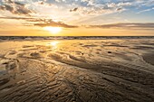 Frankreich, Somme, Ault, die Mäander des fließenden Wassers am Strand von Ault bei Ebbe und Sonnenuntergang