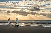 France, Somme, Marquenterre, Quend-Plage, The large sandy beaches of the windswept coast of Picardy are an ideal place for the practice of the sail-hauler, at sunset