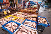 Armenien, Region Schirak, Gjumri, historisches Viertel oder Kumayri, der Markt, Fische