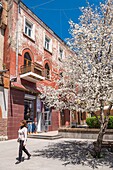 Armenia, Shirak region, Gyumri, historic district or Kumayri, Ryzhkov street