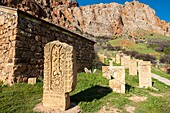 Armenia, Vayots Dzor region, surroundings of Yeghegnadzor, Amaghou valley, Noravank monastery, khatchkars (carved memorial steles)