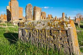 Armenien, Region Gegharkunik, Umgebung von Sewan, Noraduz (oder Noratus), Friedhof mit mittelalterlichen Gräbern, genannt Khachkars, am Ufer des Sewansees