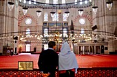 Türkei, Istanbul, historisches Zentrum, von der UNESCO zum Weltkulturerbe erklärt, Bezirk Süleymaniye, Süleymaniye Camii (Süleymaniye-Moschee), erbaut vom Architekten Mimar Sinan