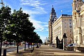 United Kingdom, Liverpool, Albert Dock, listed as World Heritage by UNESCO, Town Hall