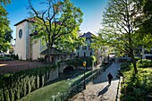 France, Haute Savoie, Annecy, along the canal Thiou, the quay of the cathedral very sporting and the bell tower of the church of notre Dame