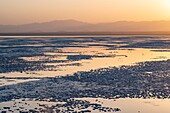 Äthiopien, Afar-Regionalstaat, Danakil-Senke, Karoum-See bei Sonnenuntergang