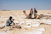 Ethiopia, Afar regional state, Danakil depression, lake Karoum, salt minors