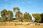 Ethiopia, Tigray regional state, Gheralta range, people filling their drums at a waterpoint