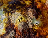 Ethiopia, Danakil depression, Afar region, Volcanic site of acid hot springs