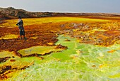 Ethiopia, Danakil depression, Afar region, Volcanic site of acid hot springs