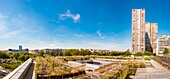 France, Paris, urban farmers Peas & Love, a new garden concept on the roof of the buildings, here on the Yooma Hotel of the Front de Seine