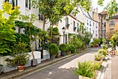 Frankreich, Paris, 14. Arrondissement, die Stadt der Blumen