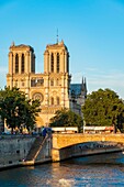 Frankreich, Paris, Welterbe der UNESCO, Ile de la Cite und Kathedrale Notre Dame