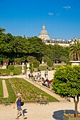 France, Paris, Saint Michel district, the Luxembourg Garden