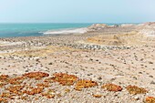 Marocco, Oued Ed-Dahab, Dakhla, view of an eco-lodge in a desert setting by the sea