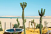 Marocco, Oued Ed-Dahab, Dakhla, Ocean Vagabond Resort, young girl playing on a trampoline by the sea in a tropical and desert climate