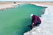 Marocco, Oued Ed-Dahab, Dakhla, Imlili, character at the edge of a saltwater hole in the middle of the desert