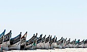 Marocco, Oued Ed-Dahab, Dakhla, Lassarga, fishing boats on the beach