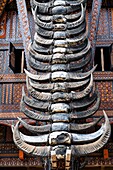 Indonesia, Sulawesi island, Toraja country, Tana Toraja, Rantepao area, Sadan Tobarana, facade of a traditional Toraja house with a lot of buffalo horns telling the wealth of the owner