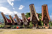 Indonesia, Sulawesi island, Toraja country, Tana Toraja, Rantepao area, Lempo, traditional Toraja houses