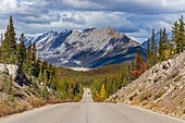 Canada, Alberta, Canadian Rocky Mountains listed as UNESCO World Heritage Site, Jasper National Park, Maligne lake road with the Colin Range in the background