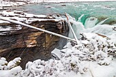 Kanada, Alberta, Kanadische Rocky Mountains, die zum UNESCO-Weltnaturerbe gehören, Jasper National Park, Icefields Parkway, Tangle Creek Wasserfälle