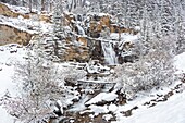 Kanada, Alberta, Kanadische Rocky Mountains, die zum UNESCO-Weltnaturerbe gehören, Jasper National Park, Icefields Parkway, Tangle Creek Wasserfälle im Winter