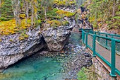 Kanada, Alberta, Kanadische Rocky Mountains, die zum UNESCO-Welterbe gehören, Banff National Park, Johnston Canyon Lower Falls im Winter