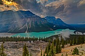 Kanada, Alberta, Kanadische Rocky Mountains, die zum UNESCO-Weltnaturerbe gehören, Banff National Park, Icefields Parkway, Peyto Lake