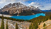 Kanada, Alberta, Kanadische Rocky Mountains, die zum UNESCO-Weltnaturerbe gehören, Banff National Park, Icefields Parkway, Peyto Lake