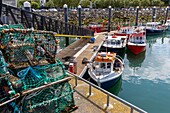 Irland, Grafschaft Fingal, Nördliche Vororte von Dublin, Howth, Fischereihafen