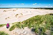 Dänemark, Nordjütland, Råbjerg Mile ist eine Wanderdüne zwischen Skagen und Frederikshavn, sie ist die größte Wanderdüne Nordeuropas mit einer Fläche von 1 km² und einer maximalen Höhe von 40 m. Die Düne wandert mit einer Geschwindigkeit von mehr als 15 m pro Jahr in Richtung Kattegat weiter nach Ost-Nordost