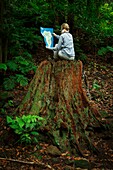 Spain, Canary Islands, La Palma, hiker tourist sitting on a tree trunk in a rainforest