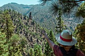 Spanien, Kanarische Inseln, La Palma, Wanderer auf einem Wanderweg in einem atlantischen Kiefernwald