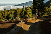 Spain, Canary Islands, La Palma, hiker on a trail in lush greenery in a mountainous and volcanic environment