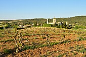 Spanien, Katalonien, Provinz Tarragona, Comarca Alt Camp, La ruta del Cister, Aiguamurcia, Kloster Santes Creus