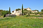 Spanien, Katalonien, Provinz Tarragona, Alt Camp comarca, La ruta del Cister, Mas d'en Ferran Bed and Breakfast