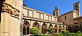 Spain, Catalonia, Tarragona Province, Alt Camp comarca, La ruta del Cister, Aiguamurcia, monastery of Santes Creus, the cloister