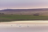 Vereinigtes Königreich, Schottland, Orkney-Inseln, Festland, Sonnenaufgang über Loch Harray vom Ring of Brodgar, Heart of Neolithic Orkney, von der UNESCO zum Weltkulturerbe erklärt