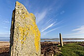 Vereinigtes Königreich, Schottland, Orkney-Inseln, Festland, Ring of Brodgar, Heart of Neolithic Orkney, von der UNESCO zum Weltkulturerbe erklärt