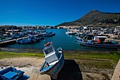 Italy, Sicily, Trapani, Egades archipelago, Favignana, the port, with Fort St Catherine in the back