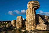 Italien, Sizilien, Castelvetrano, antike Stadt Selinonte, gegründet von megarischen Griechen im 7. Jahrhundert v. Chr.