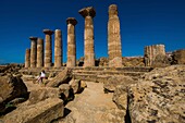 Italien, Sizilien, Agrigente, archäologischer Park des Tals der Tempel (UNESCO-Welterbe), Tempel von Héraclès